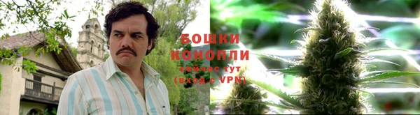 СК Медвежьегорск