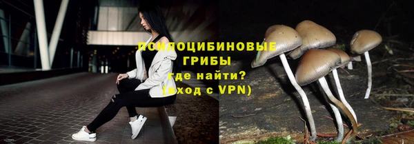 мдпв Медногорск