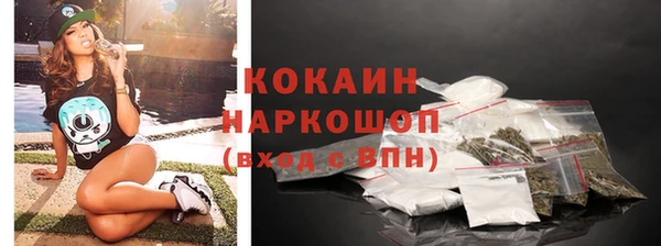 СК Медвежьегорск