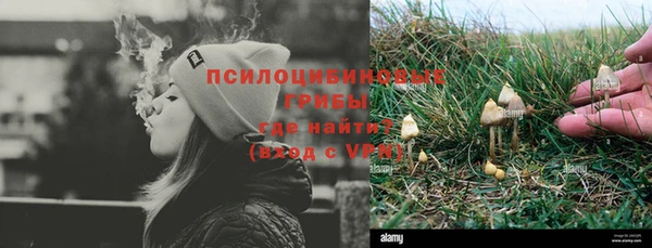 мдпв Медногорск