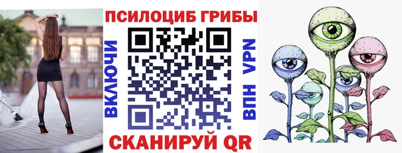 где купить наркоту Правдинск Псилоцибиновые грибы Cubensis
